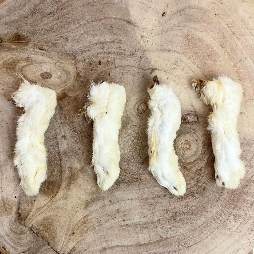 Rabbit Feet