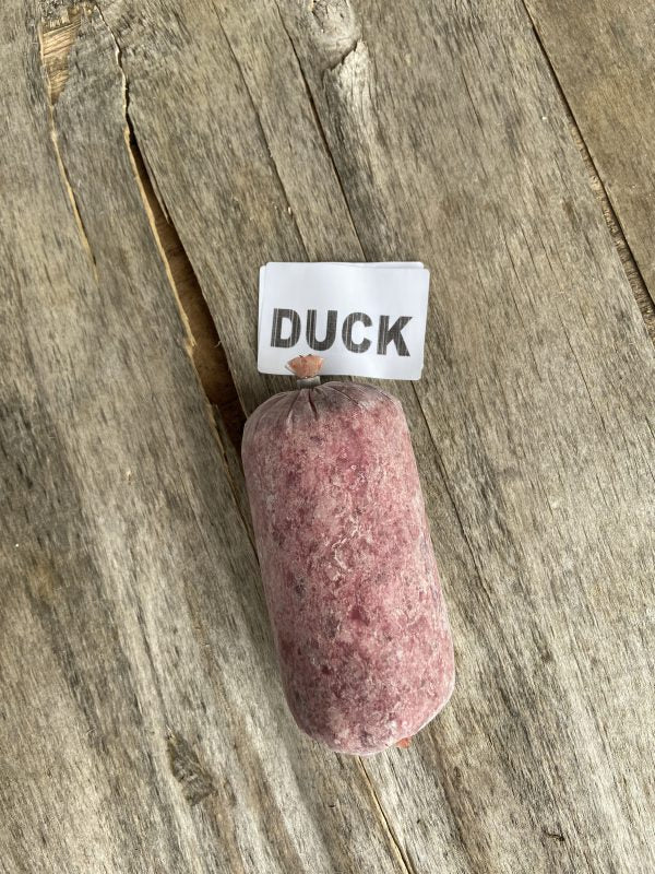 Duck