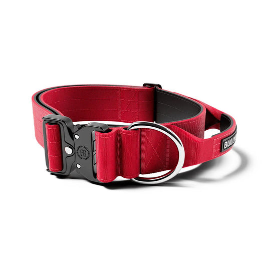 5cm Combat Collar