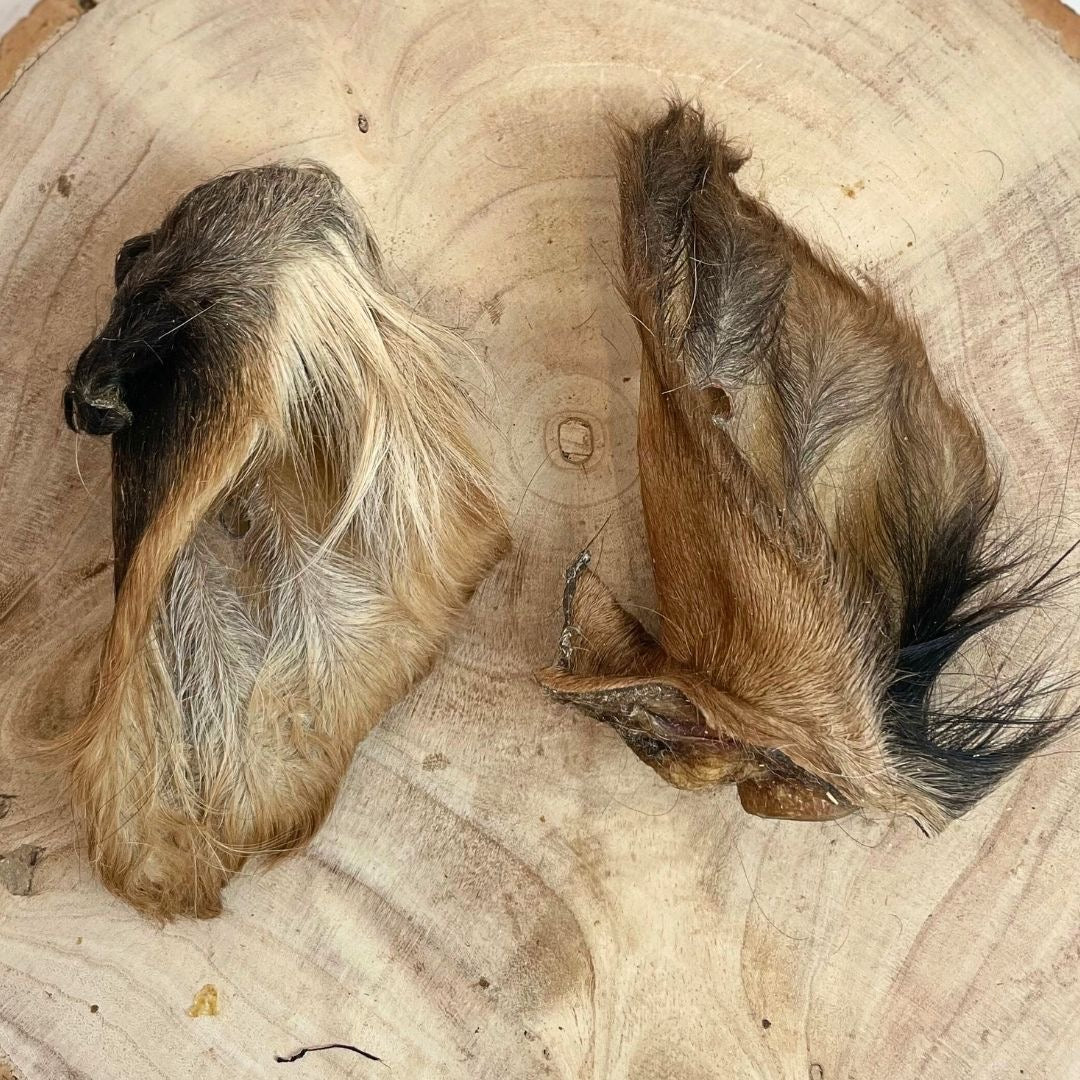 Cow Ears with Fur