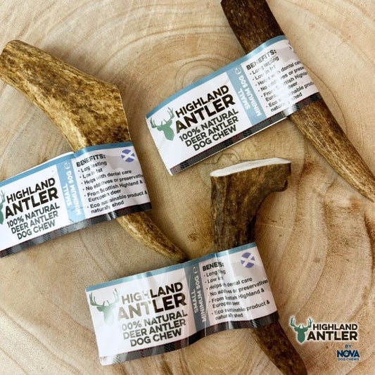 Highland Antler Deer Antler