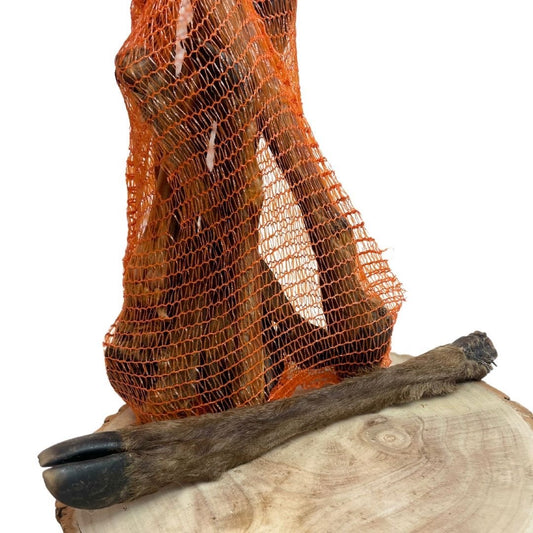 Deer Leg