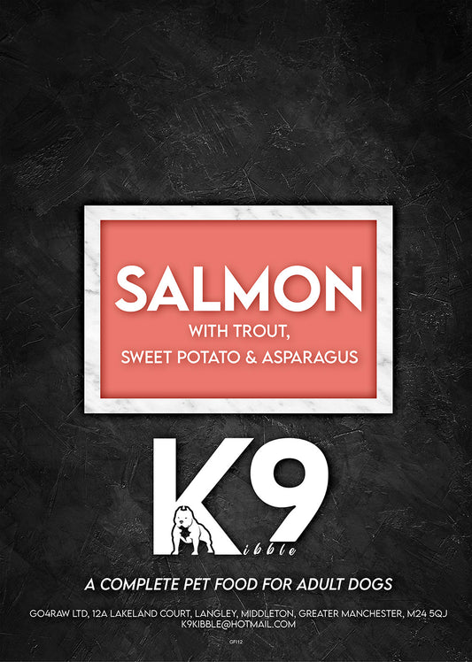 Adult Salmon