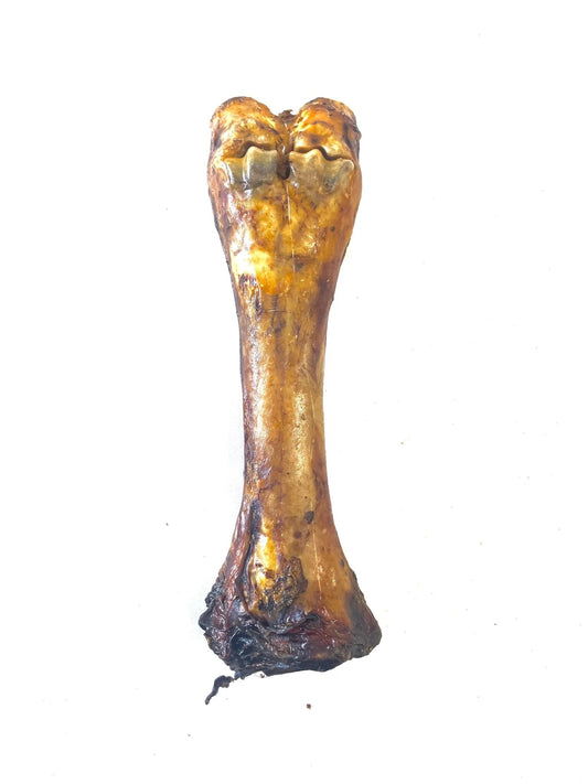 Shin Bone