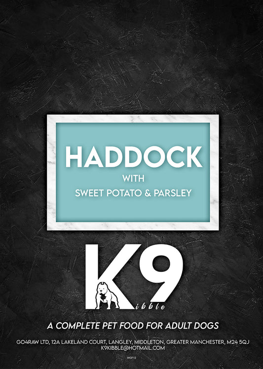 Adult Haddock